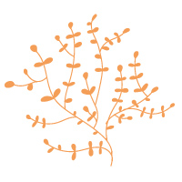 Blume-einzeln_orange-200x200_3